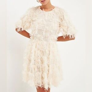 NWT Endless Rose Gridded Mesh Feathered Puff Sleeve Mini Dress - Size Medium